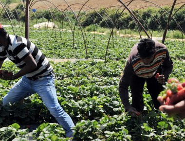 Βουλευτές Σύριζα προς υπουργούς εξωτερικών: Να αποδοθούν ευθύνες για την επανεξέταση της Μανωλάδας